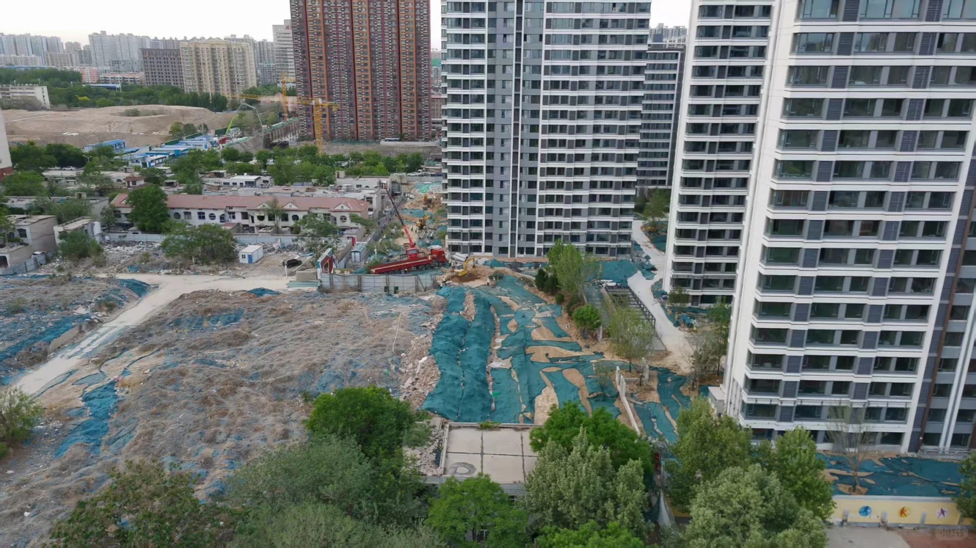 开始做绿化了 马上住新房了😀😀😀