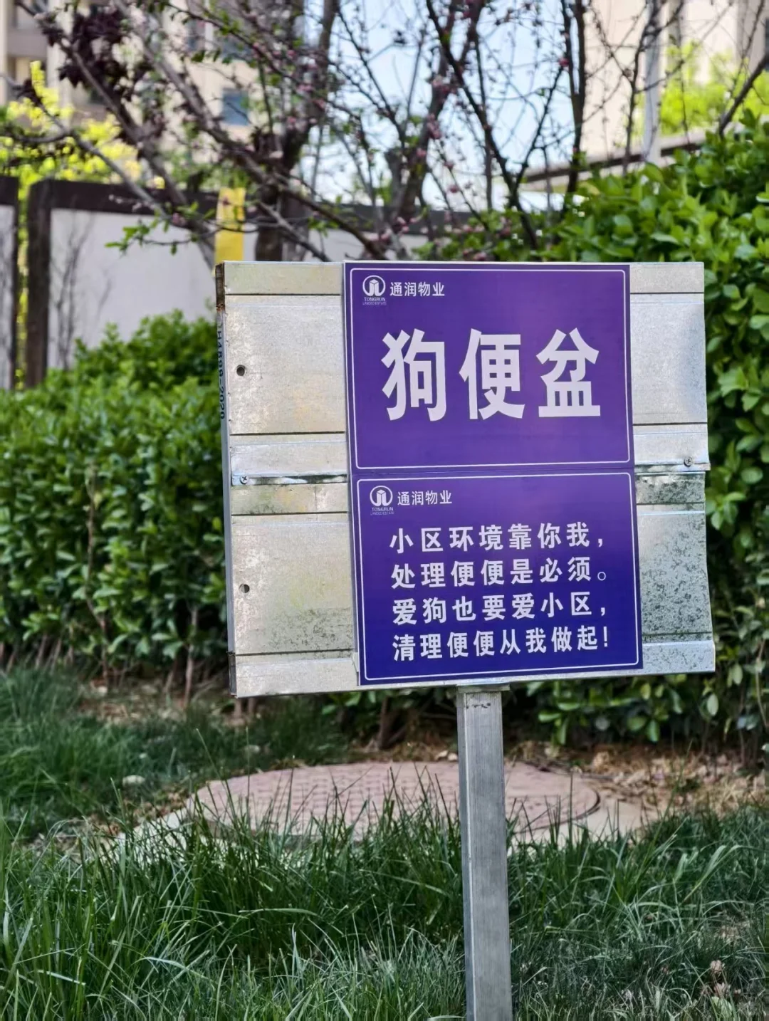 五合.锦江府小区实拍！水系+儿童区+绿化
