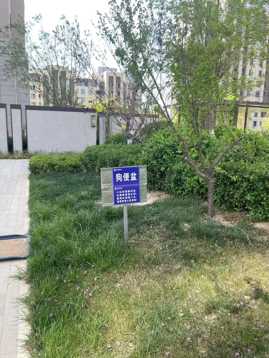 五合.锦江府小区实拍！水系+儿童区+绿化