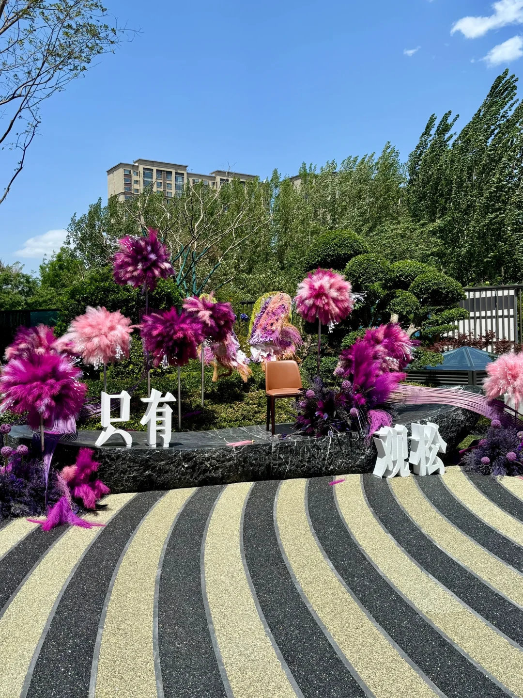 潍坊！！回家就像走在莫奈花园的路上……