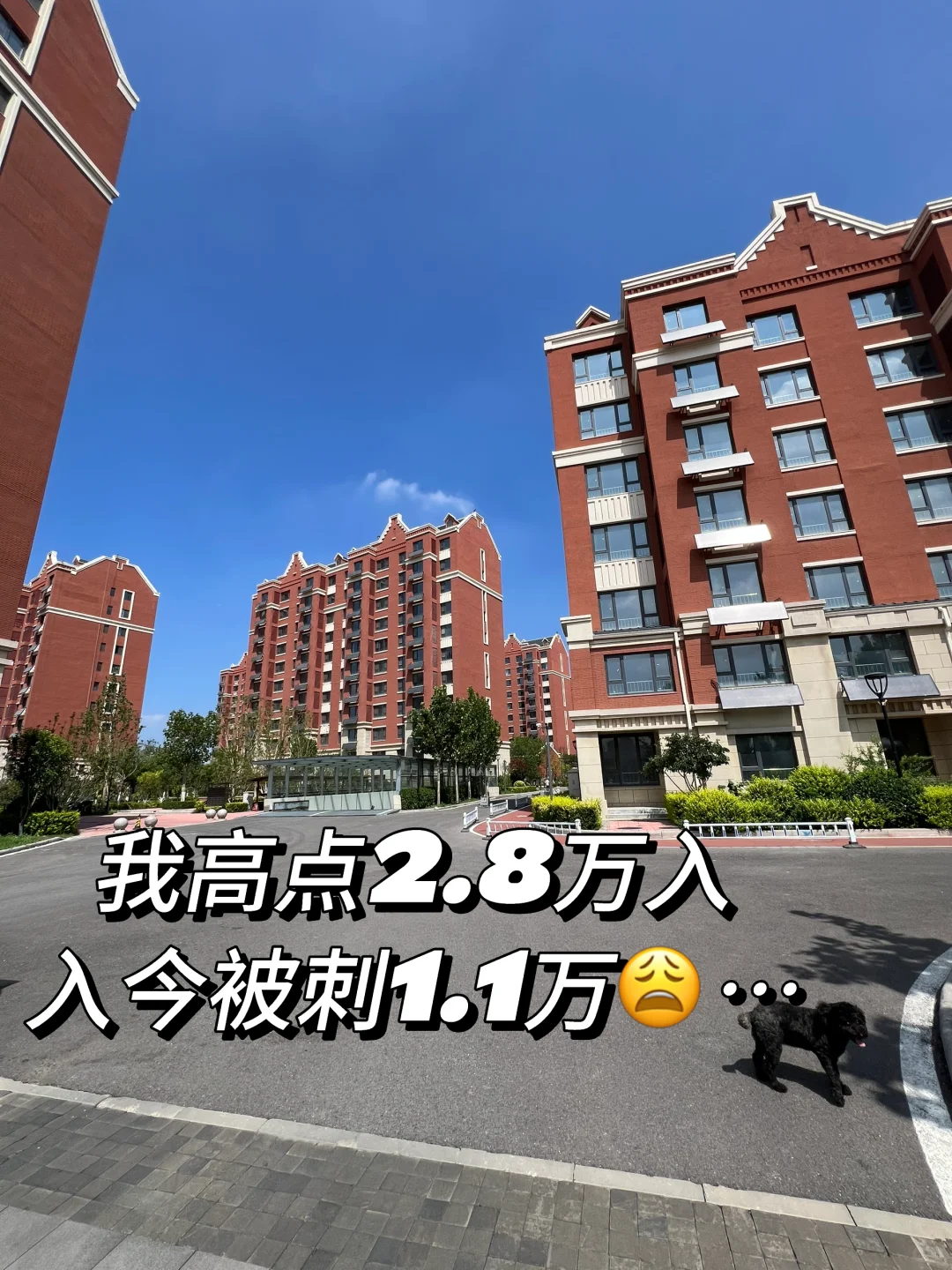 我家狗🐶都不愿意了！电梯洋房❗️❗️