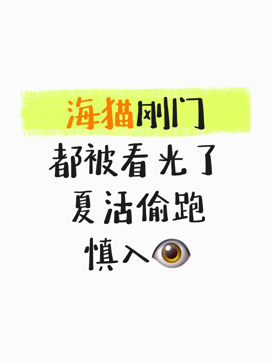 传说，海猫的刚门。。。