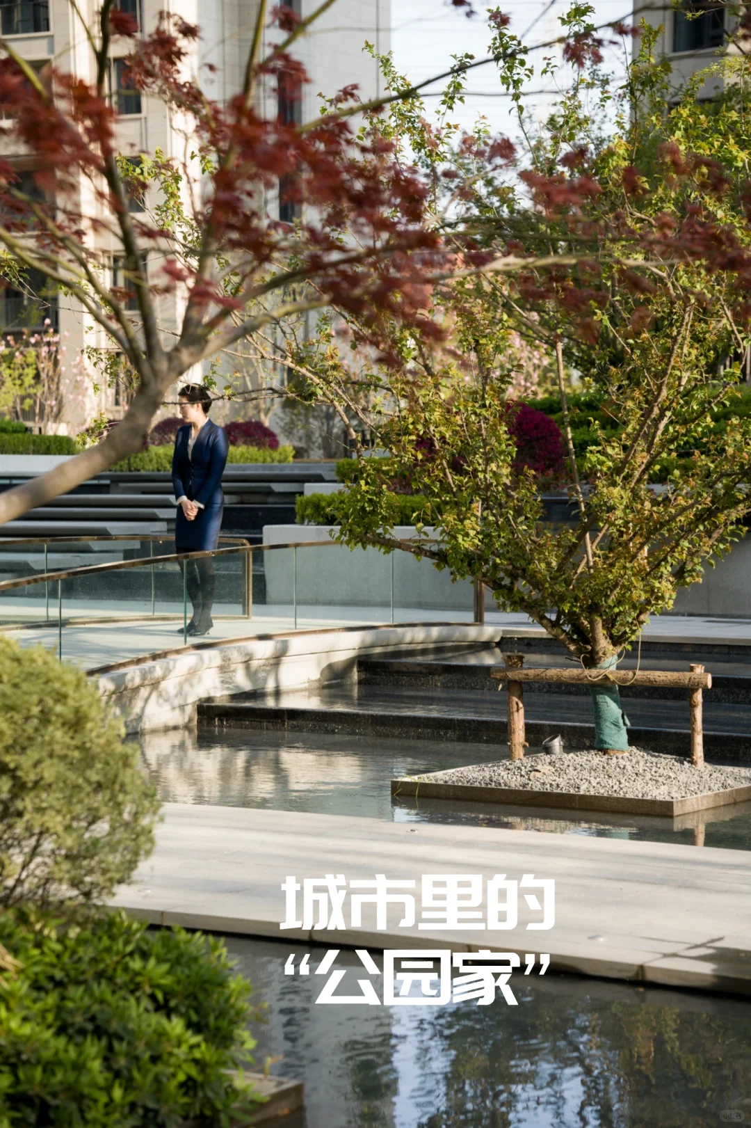 城市里的“公园家”
