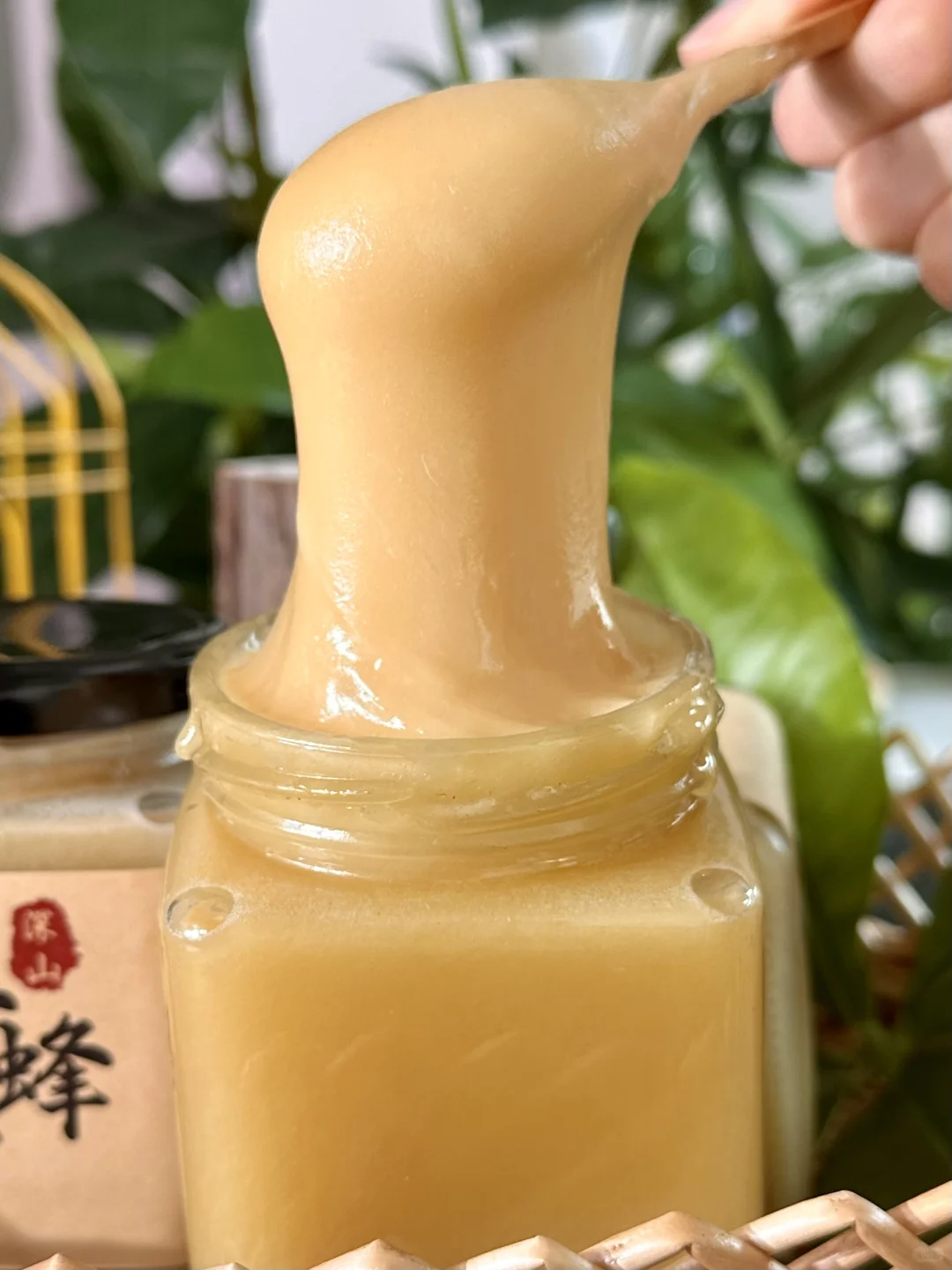 🍯 会拉丝的土蜂蜜太诱人了❗🐝