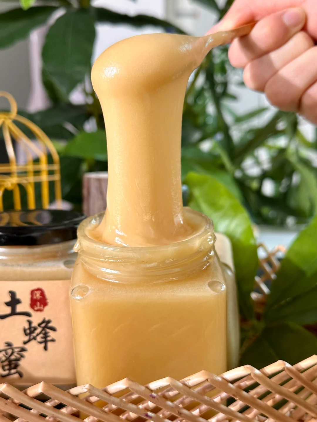 🍯 会拉丝的土蜂蜜太诱人了❗🐝