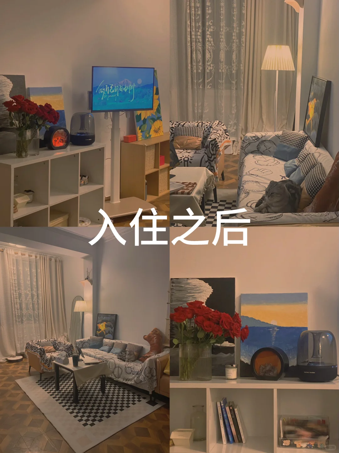 贵阳竟然有这样的神仙租客！！！
