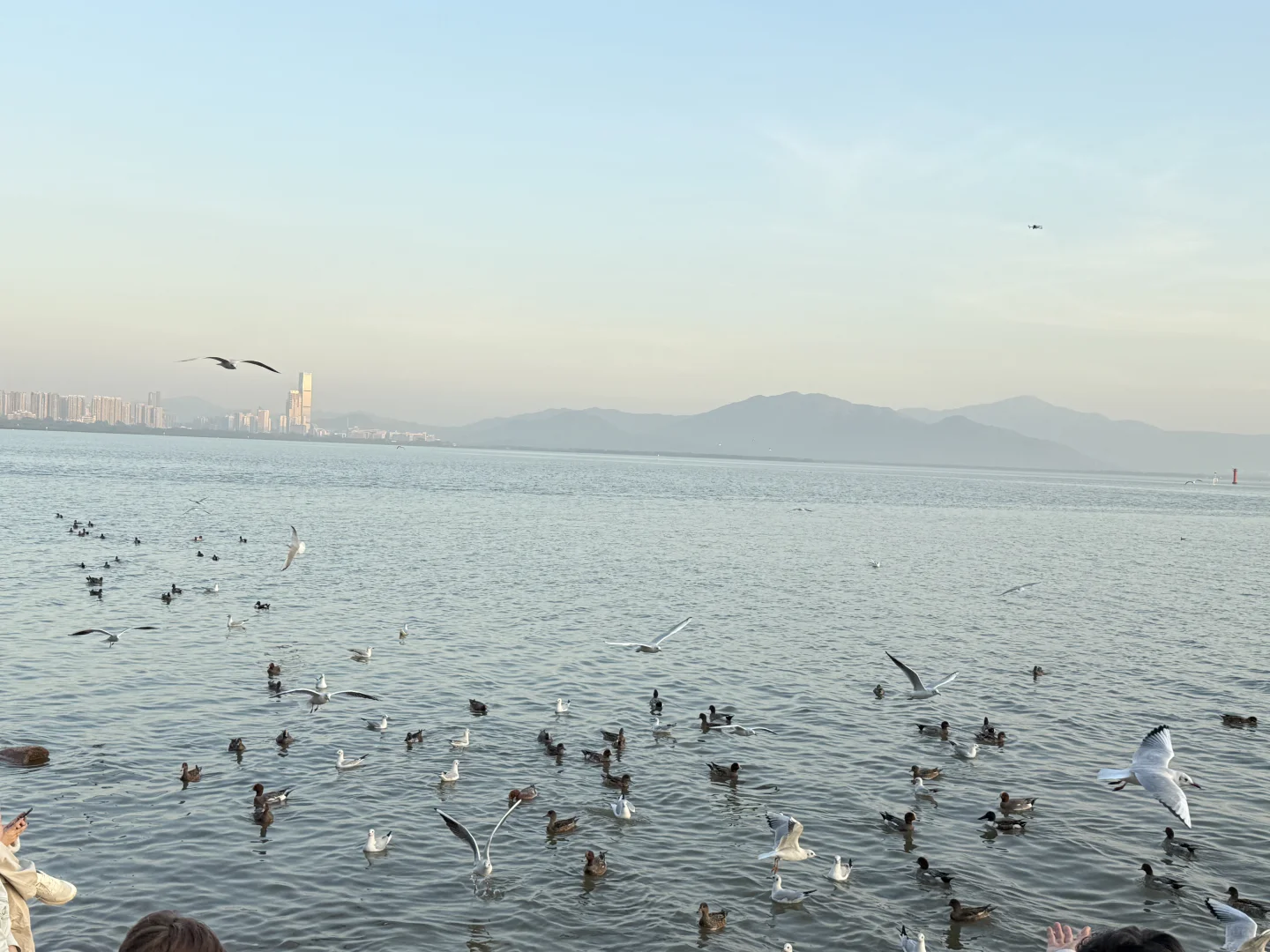 140斤｜没有更新的日子都在好好减肥🏃🏻‍♀️