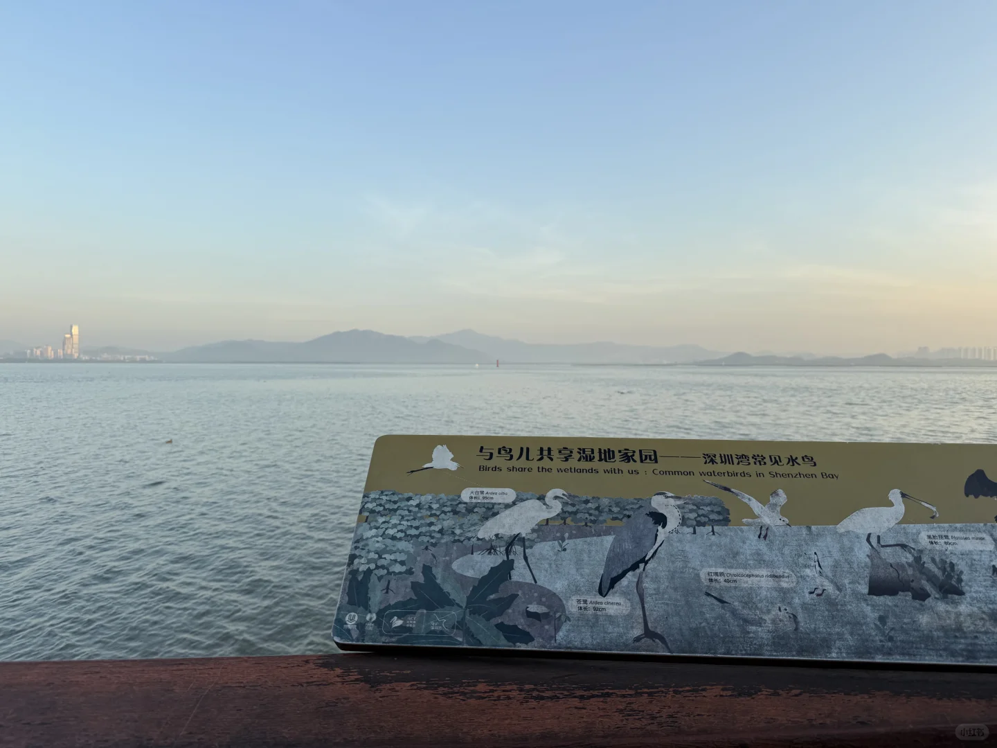 140斤｜没有更新的日子都在好好减肥🏃🏻‍♀️