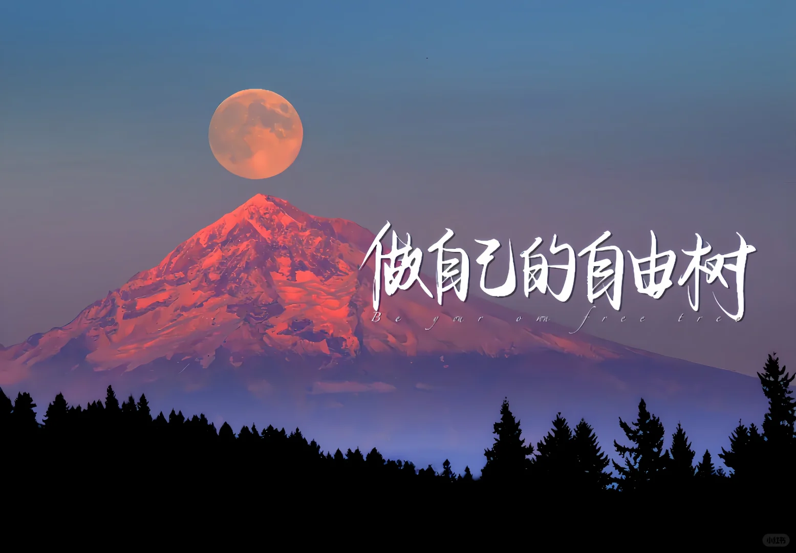 车载壁纸自取图💚无水印