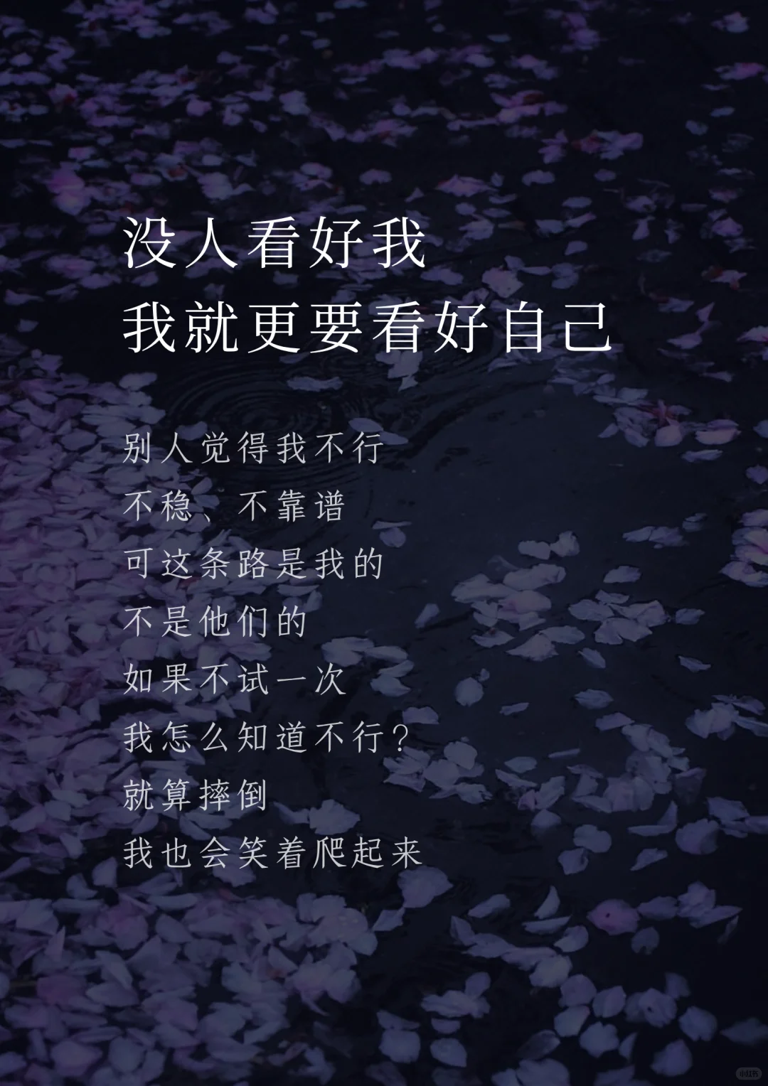 “稳定”很诱人，但我选择“野生成长”