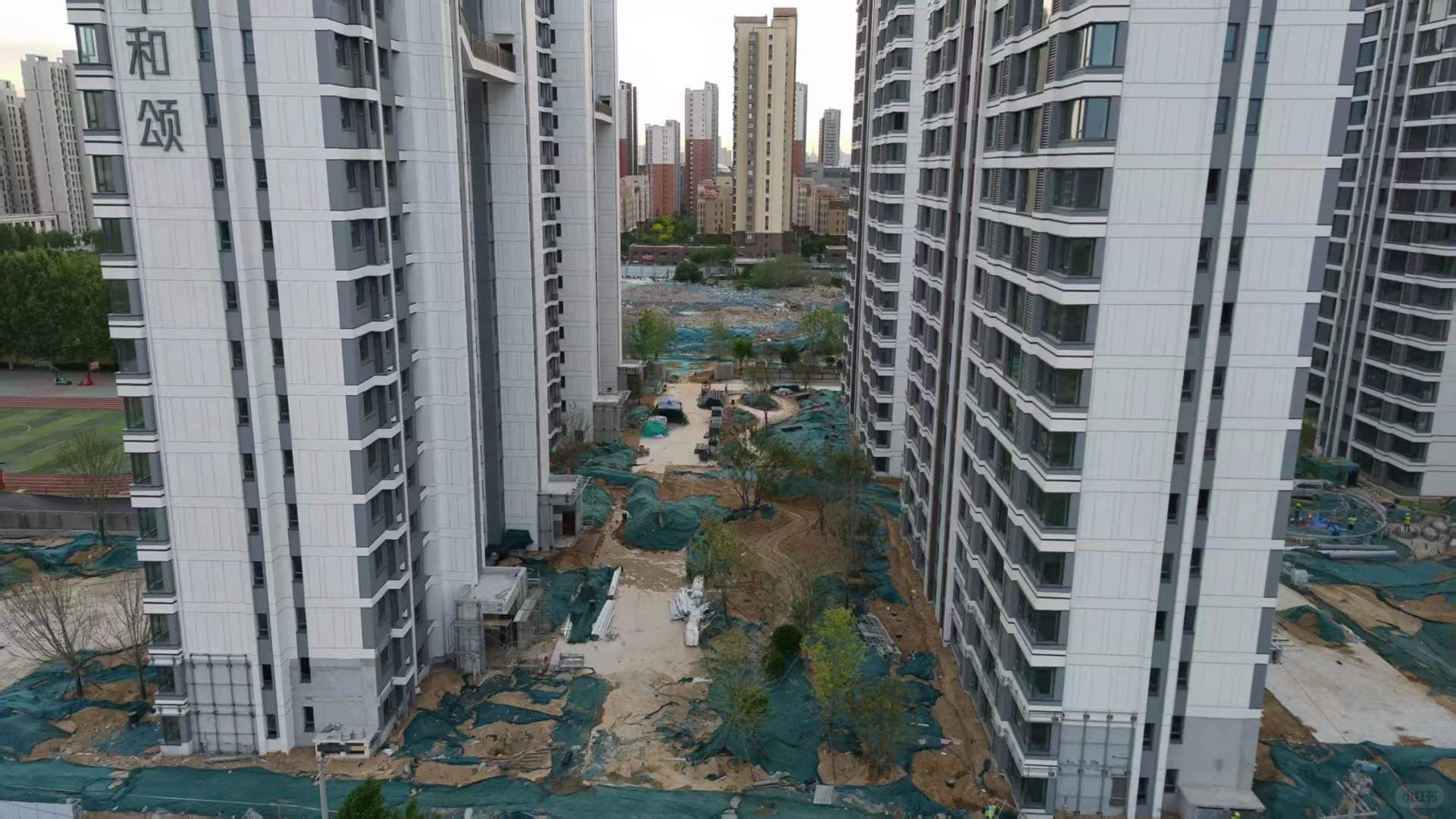 开始做绿化了 马上住新房了😀😀😀
