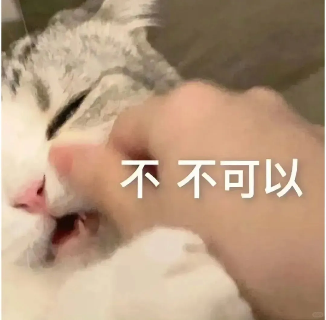 腹肌腹肌，给我摸摸给我摸摸