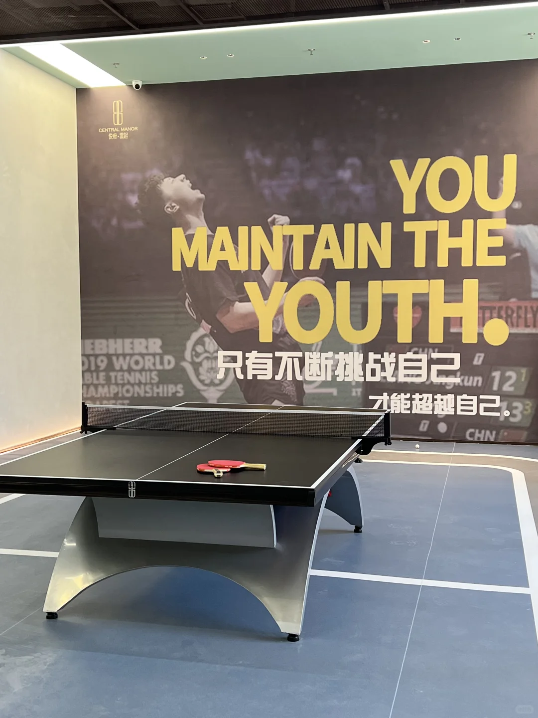 合肥看房日记｜朋友以为我出国了……
