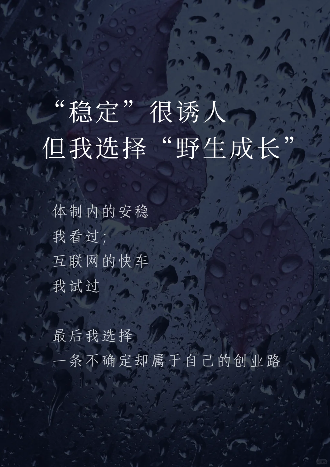 “稳定”很诱人，但我选择“野生成长”
