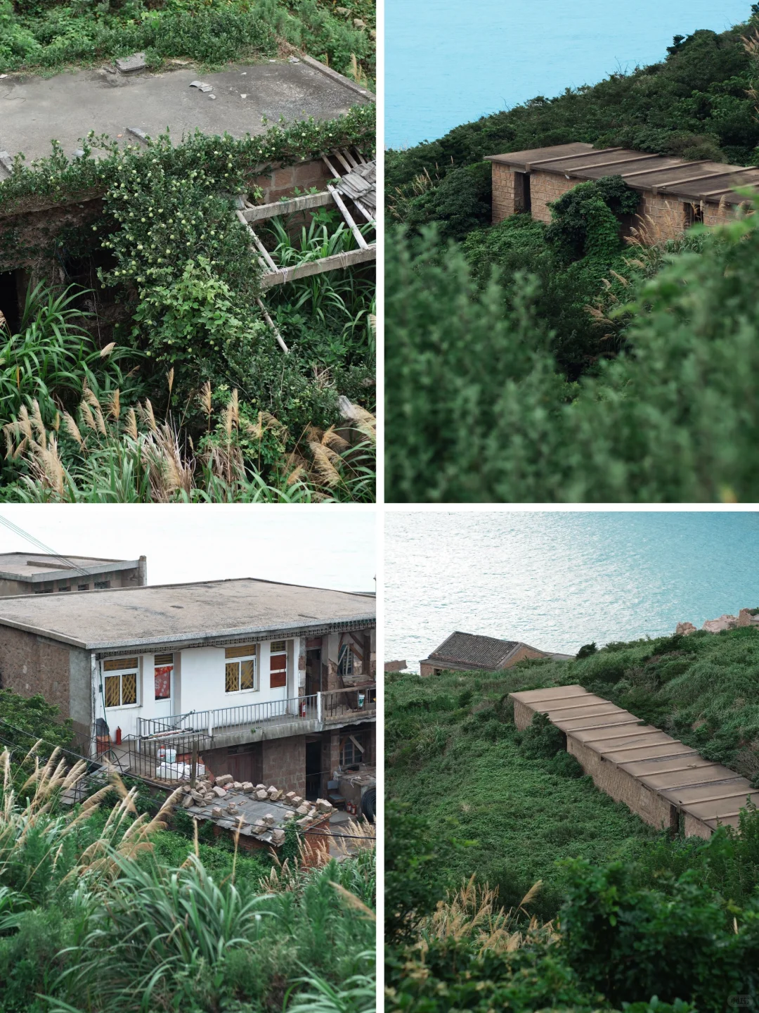 🌊冷门治愈系海岛「黄龙岛」超全攻略！太