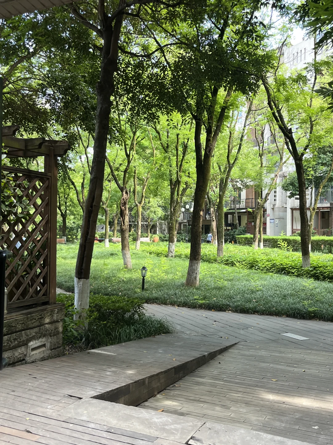 重庆老洋房，树景房❤️147平｜带电梯……急售！