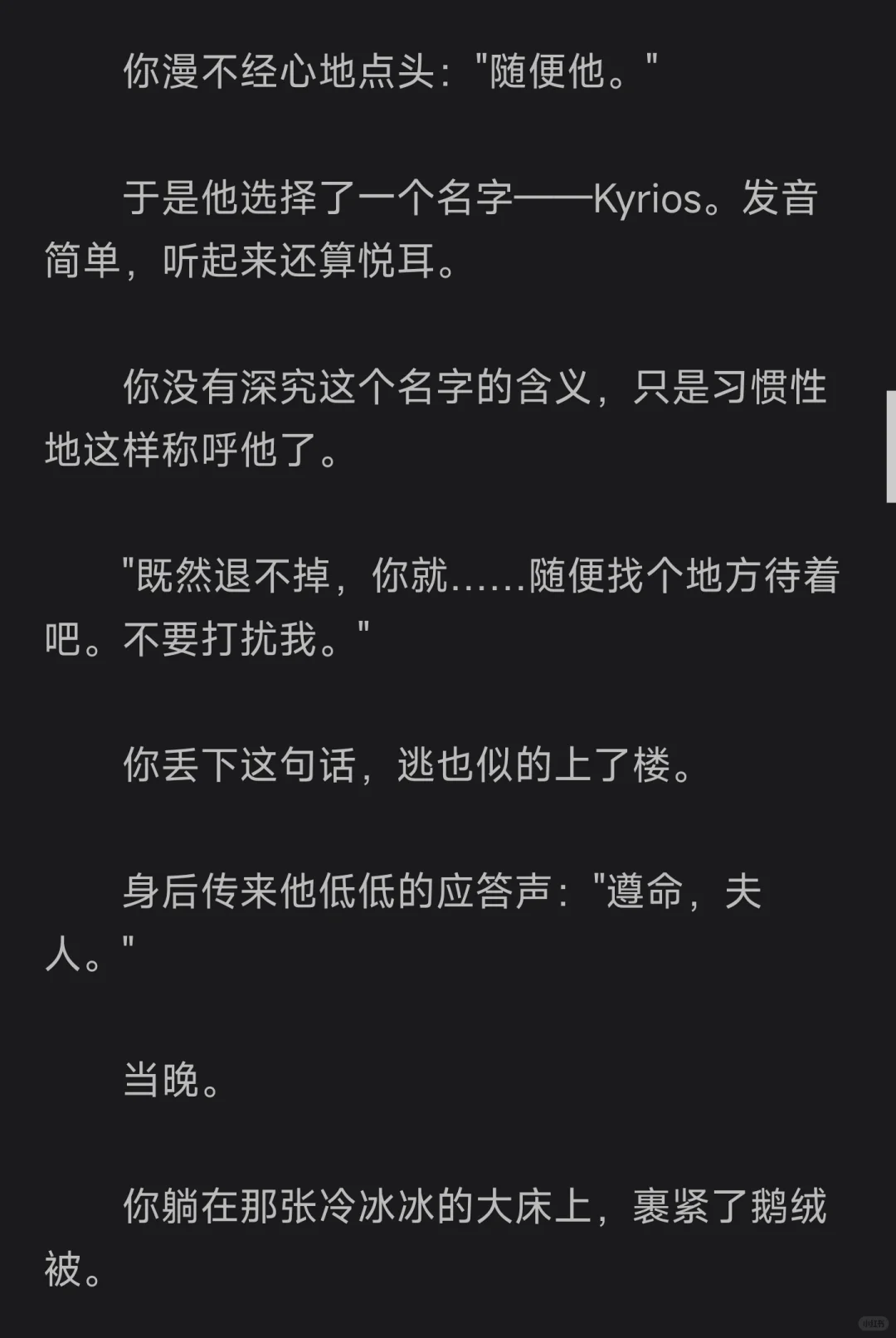 夫人，不介意的话，可以试试我