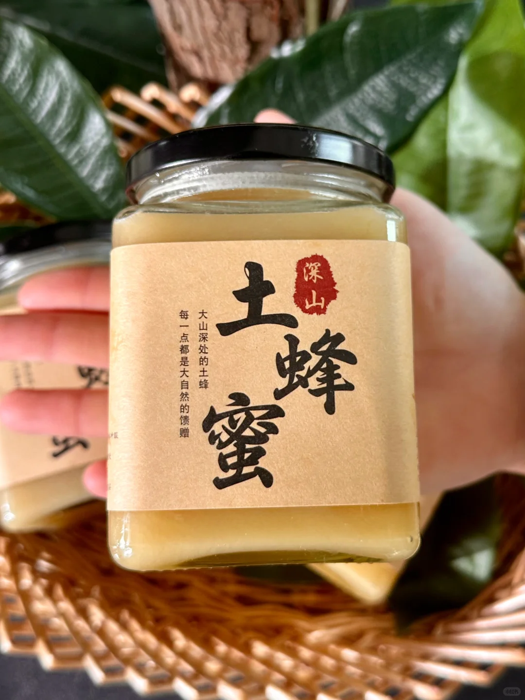 🍯 会拉丝的土蜂蜜太诱人了❗🐝