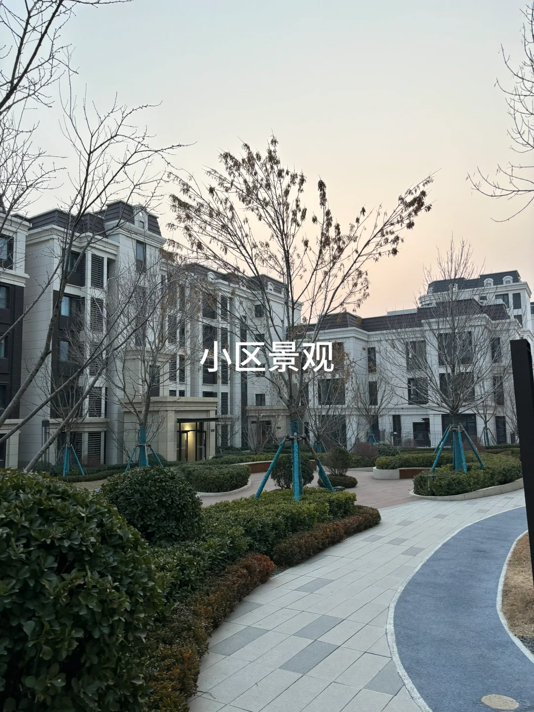 大连租房 电梯洋房 1800 有阳台 洋房社区