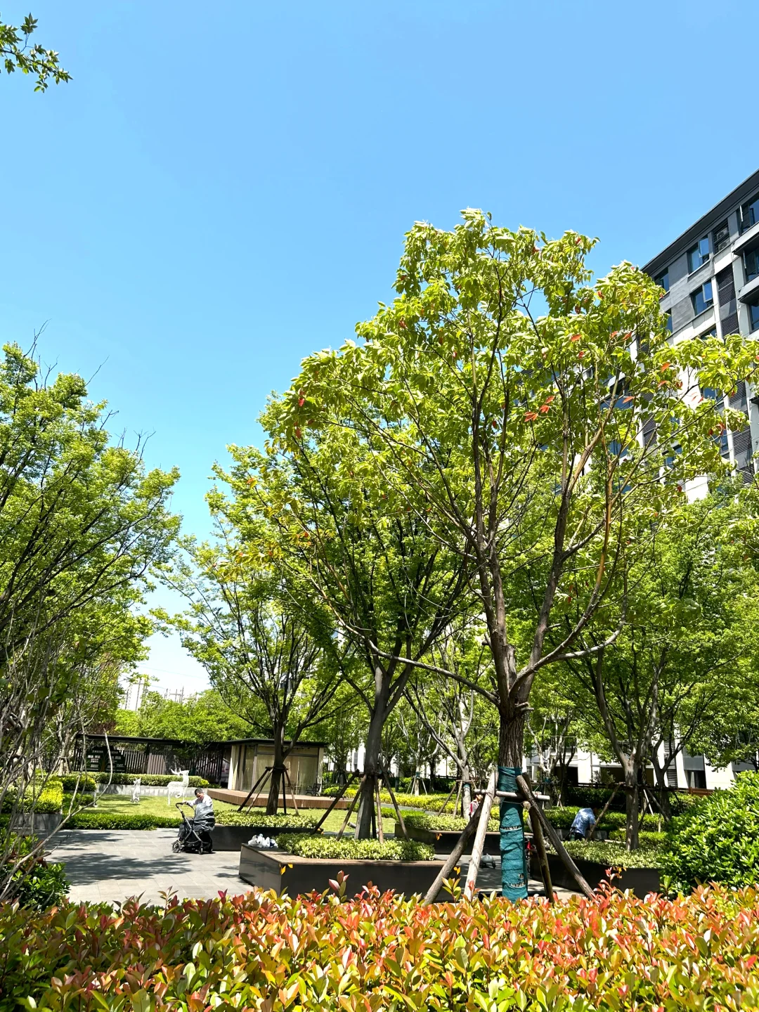😭合肥包河次新11层128平洋房🏡降价100萬🥬
