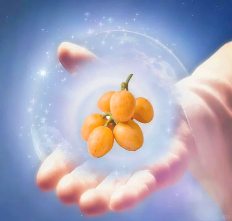 不在广东的朋友喝不到此等尤物我对你们表示