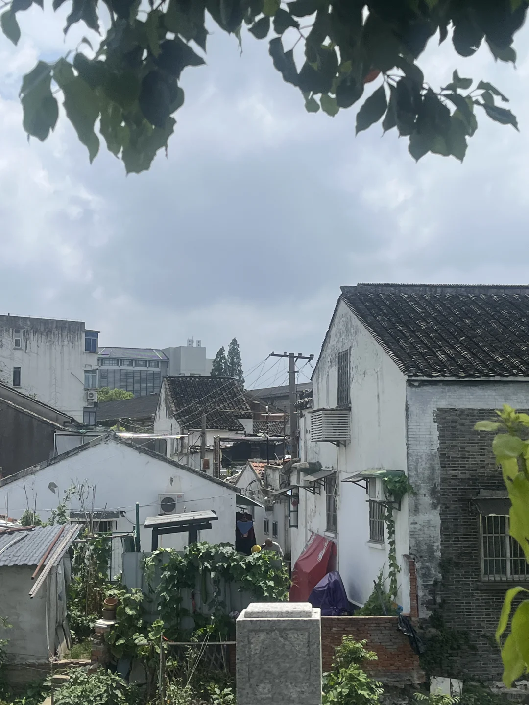 老房子对面是高档住宅