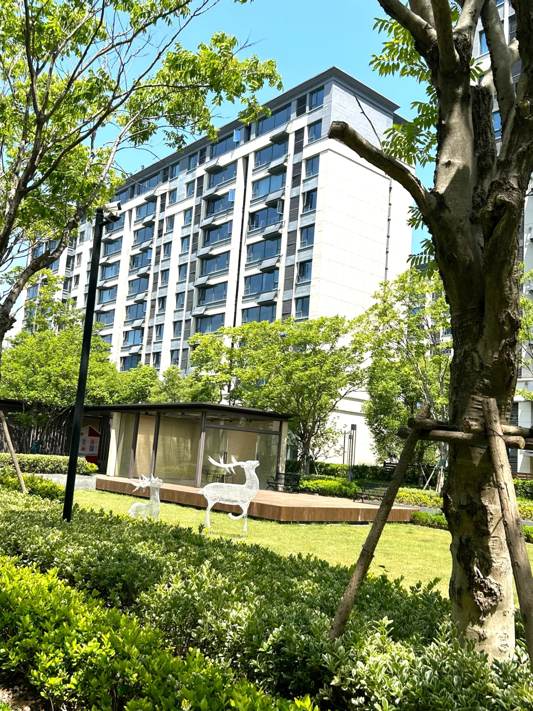 😭合肥包河次新11层128平洋房🏡降价100萬🥬