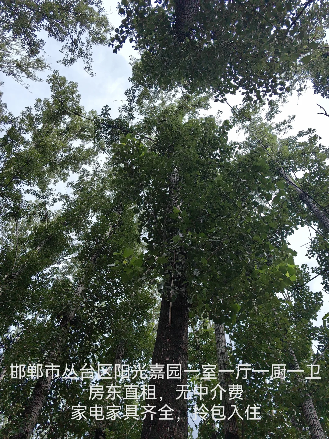 邯郸市丛台区阳光嘉园一室一厅一厨一卫