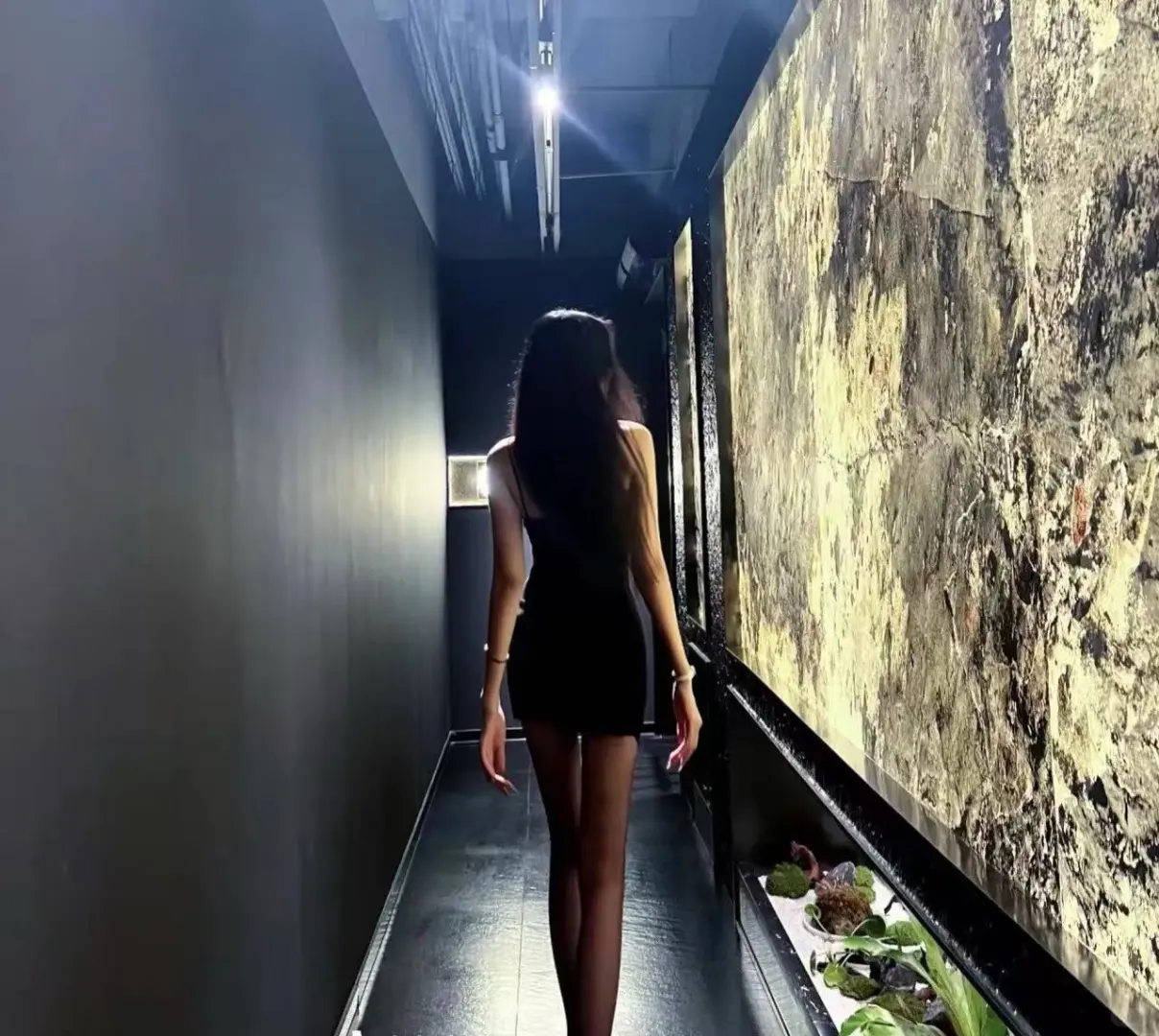 姐姐不坏，弟弟不爱❤️