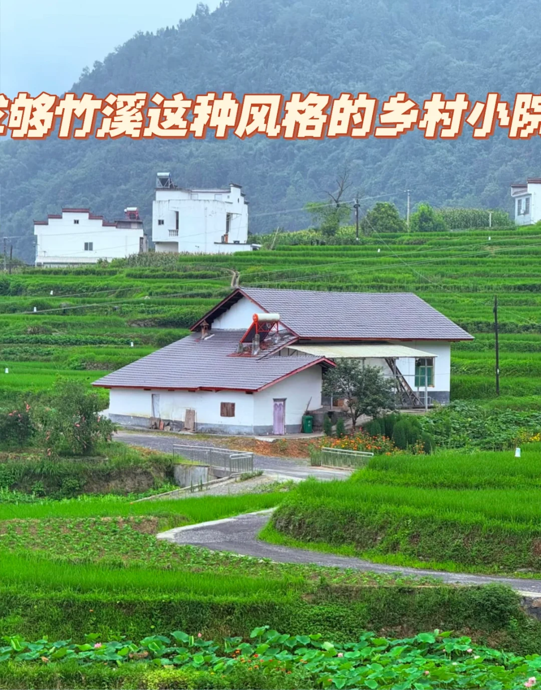 求购竹溪的乡村小院儿，或者宅基地