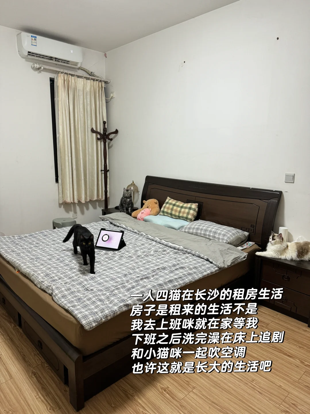 1000在长沙租到的超大三室两厅！房东人超好