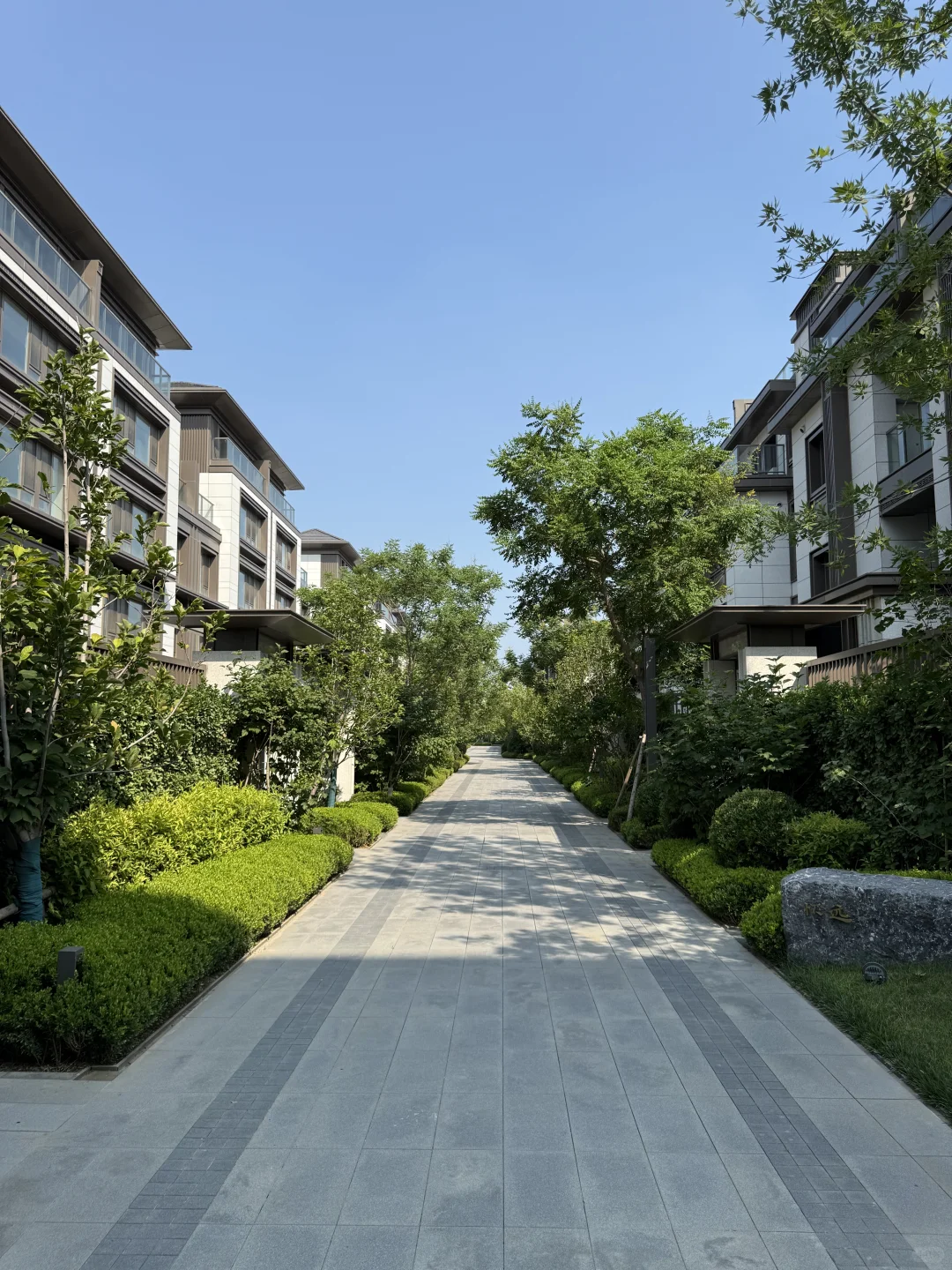 朝阳|现房！院子竟有280平🏡跃墅样板间出售