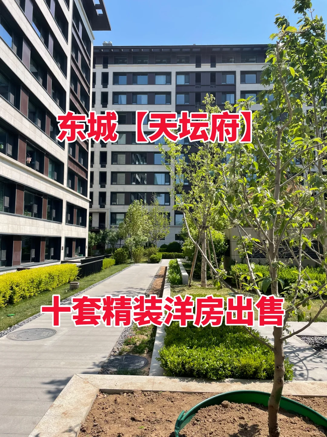 东城天坛府，背汇文的书包，十套好房出售