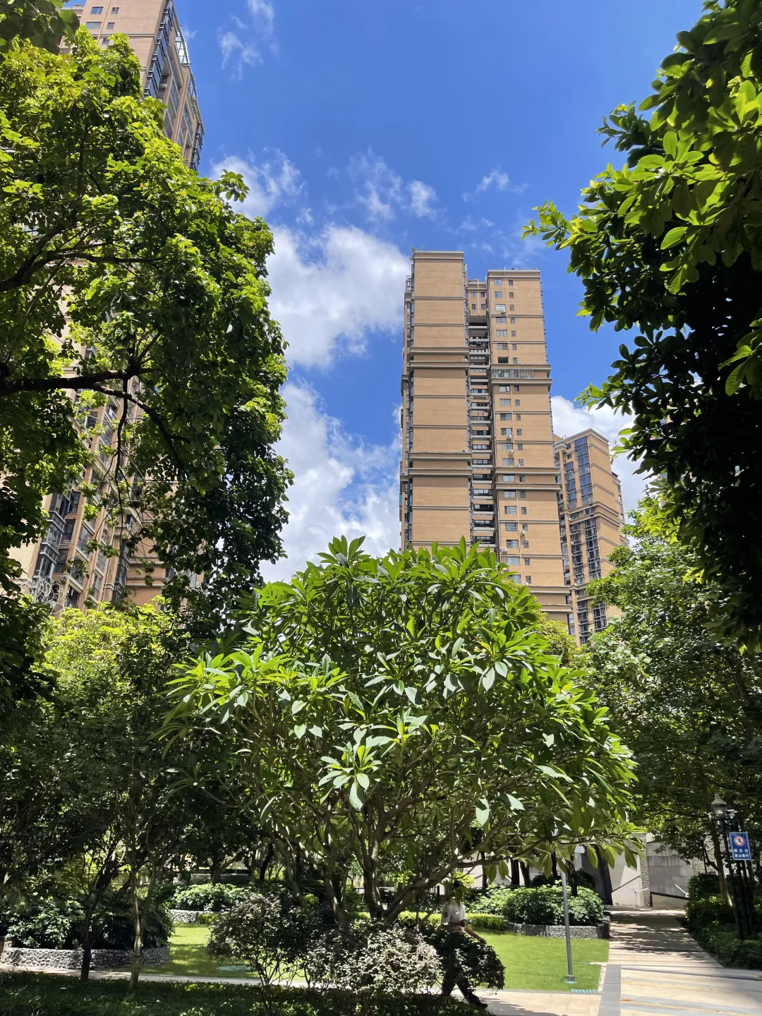 当我在南宁看了不下五十套房。。。我将