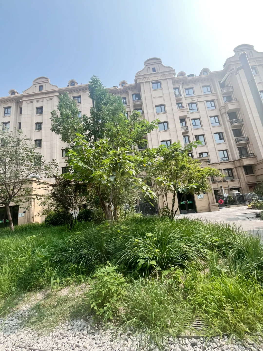 滨海工农村丨谁不住个品质电梯洋房高端社区