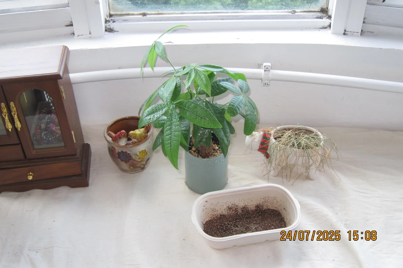 住进古早宅女的日系小屋🫧
