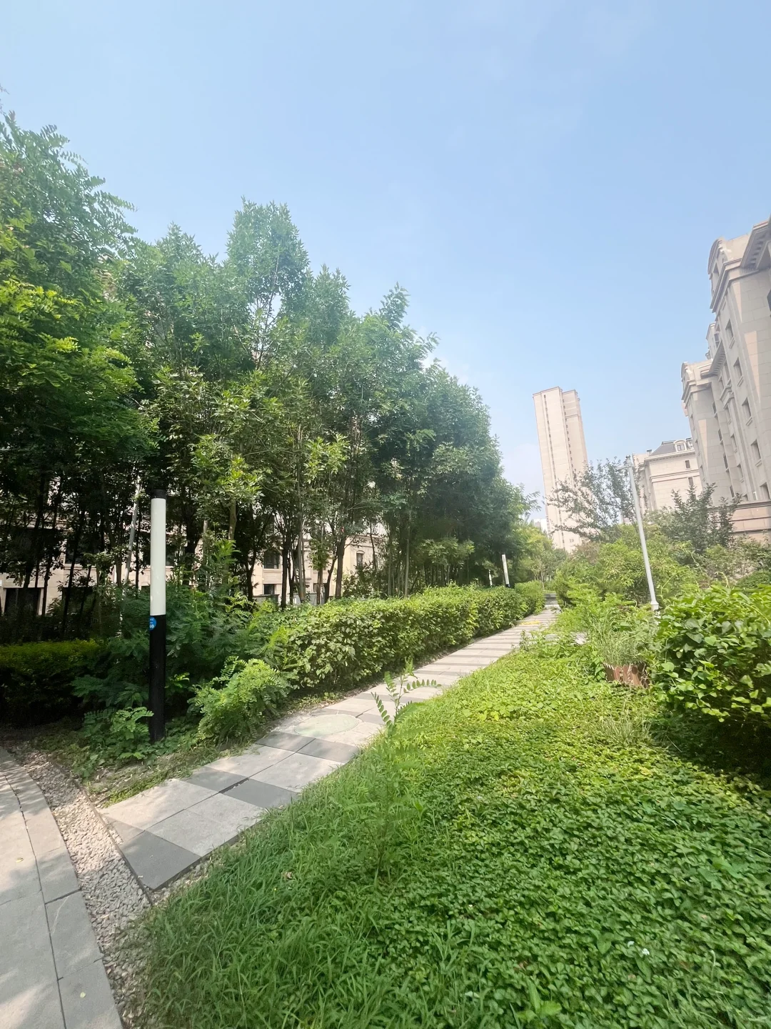 滨海工农村丨谁不住个品质电梯洋房高端社区