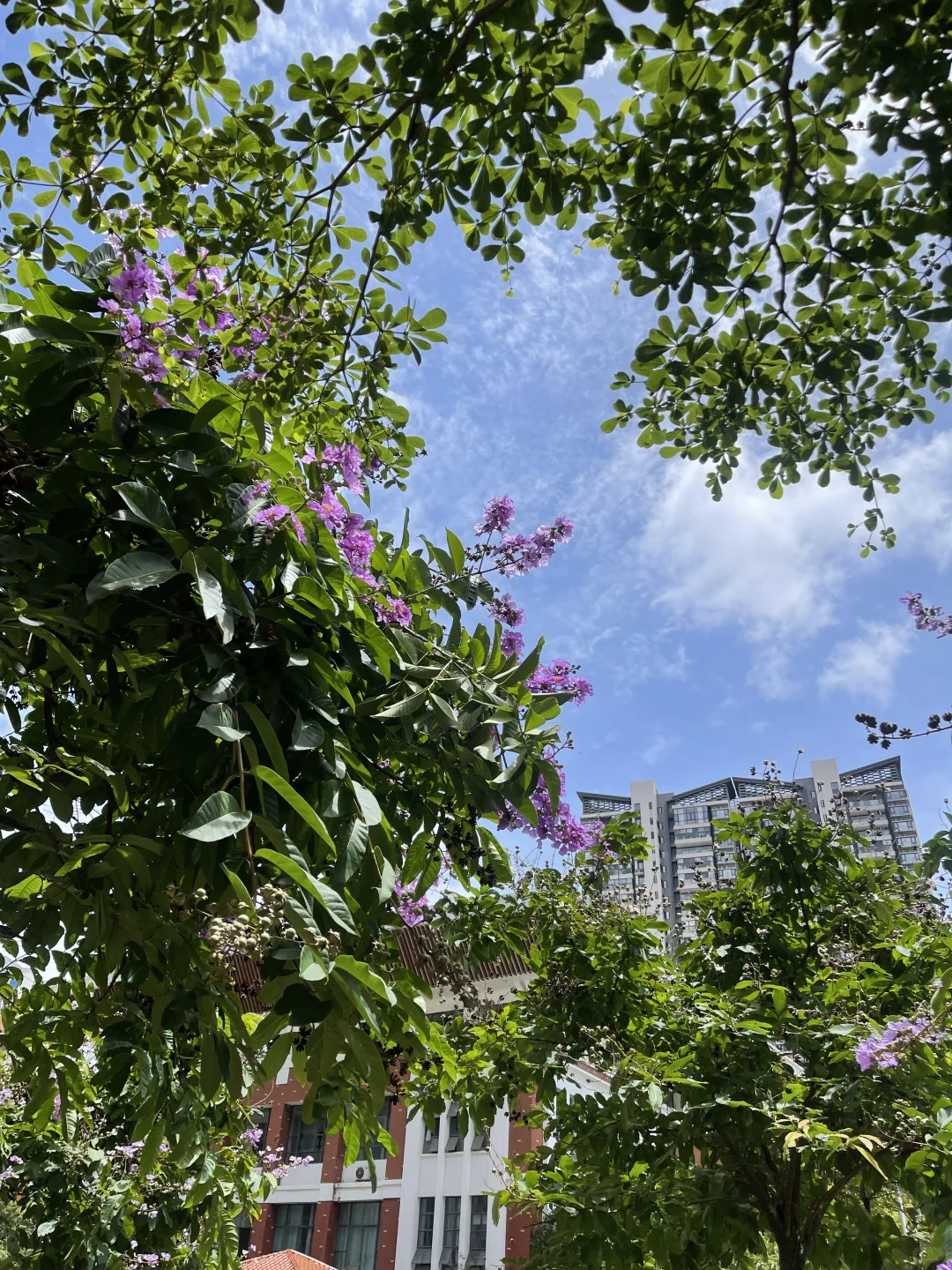 当我在南宁看了不下五十套房。。。我将