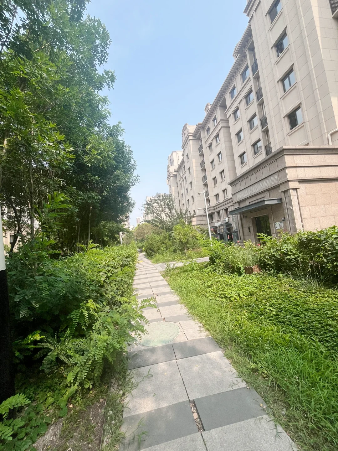 滨海工农村丨谁不住个品质电梯洋房高端社区