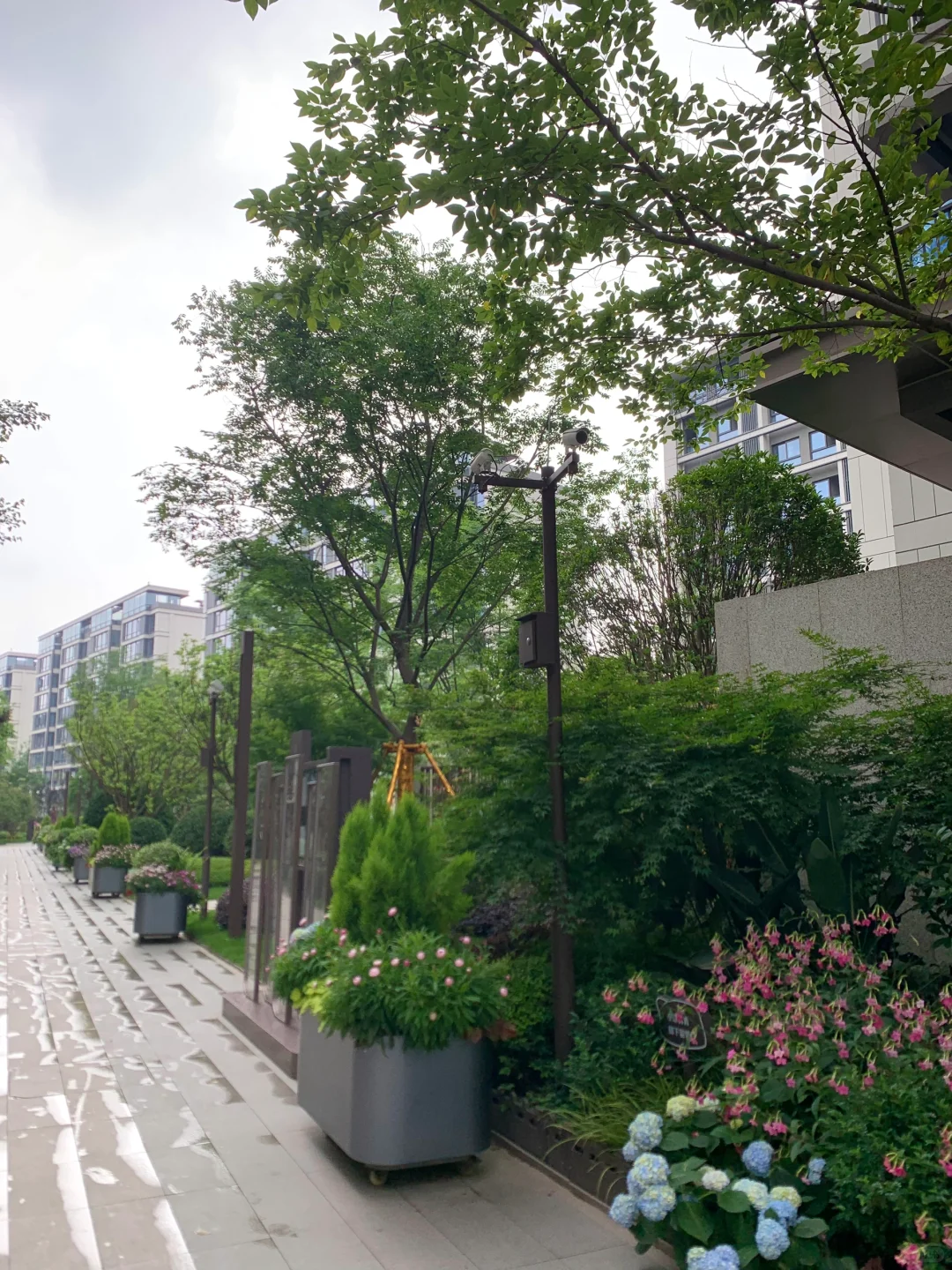 住上了洋房🏡才体验到什么是理想生活✨