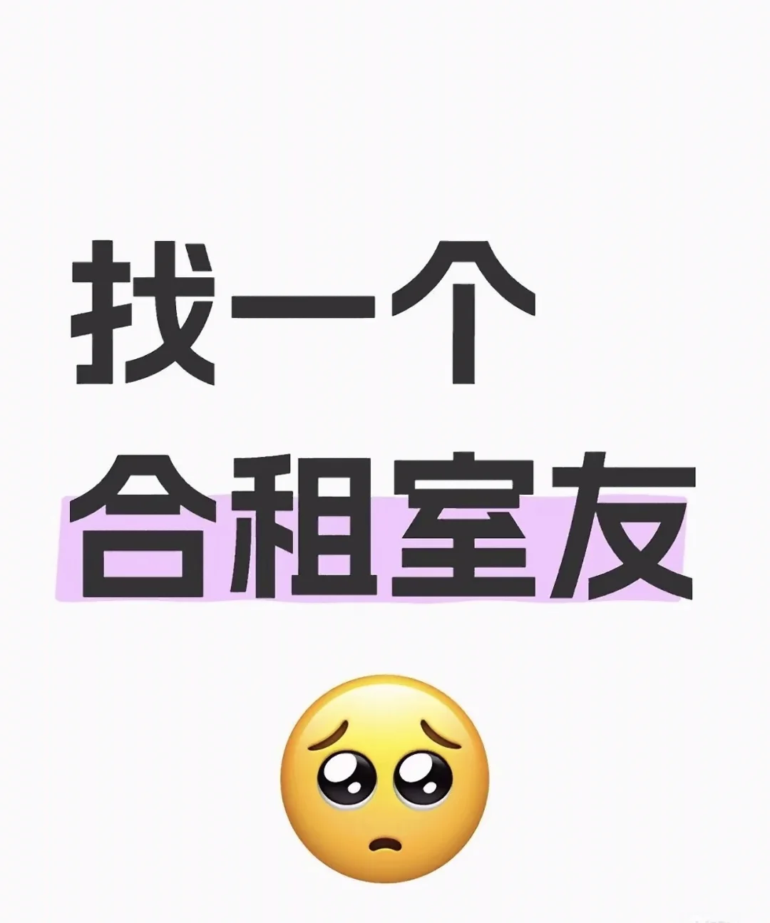 女生合租！只求女生合租