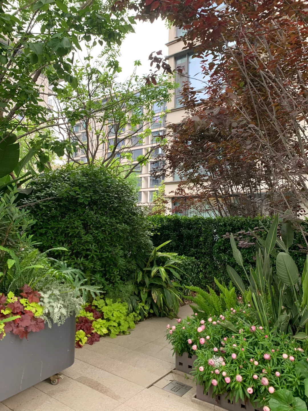 住上了洋房🏡才体验到什么是理想生活✨