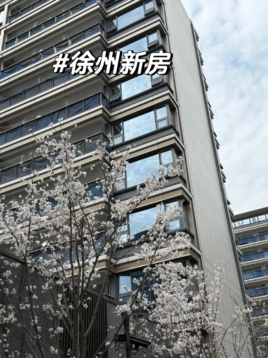 徐州一梯一户洋房是真可以📍城市一环