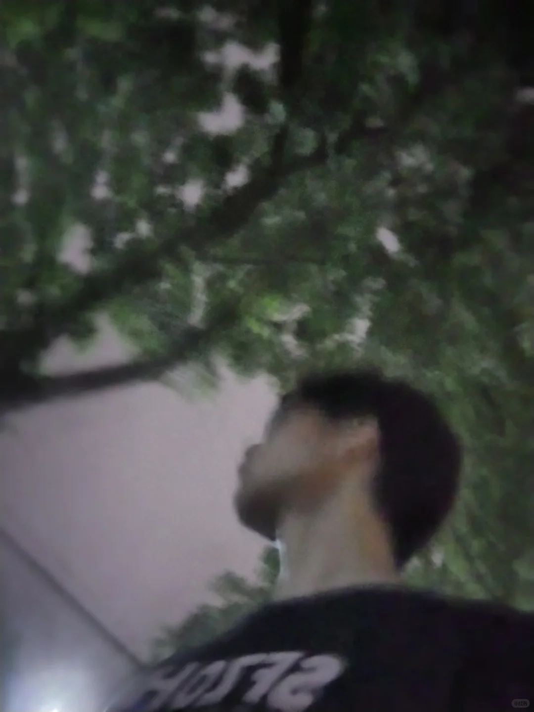 小妈感御姐+潦草小狗=绝杀！