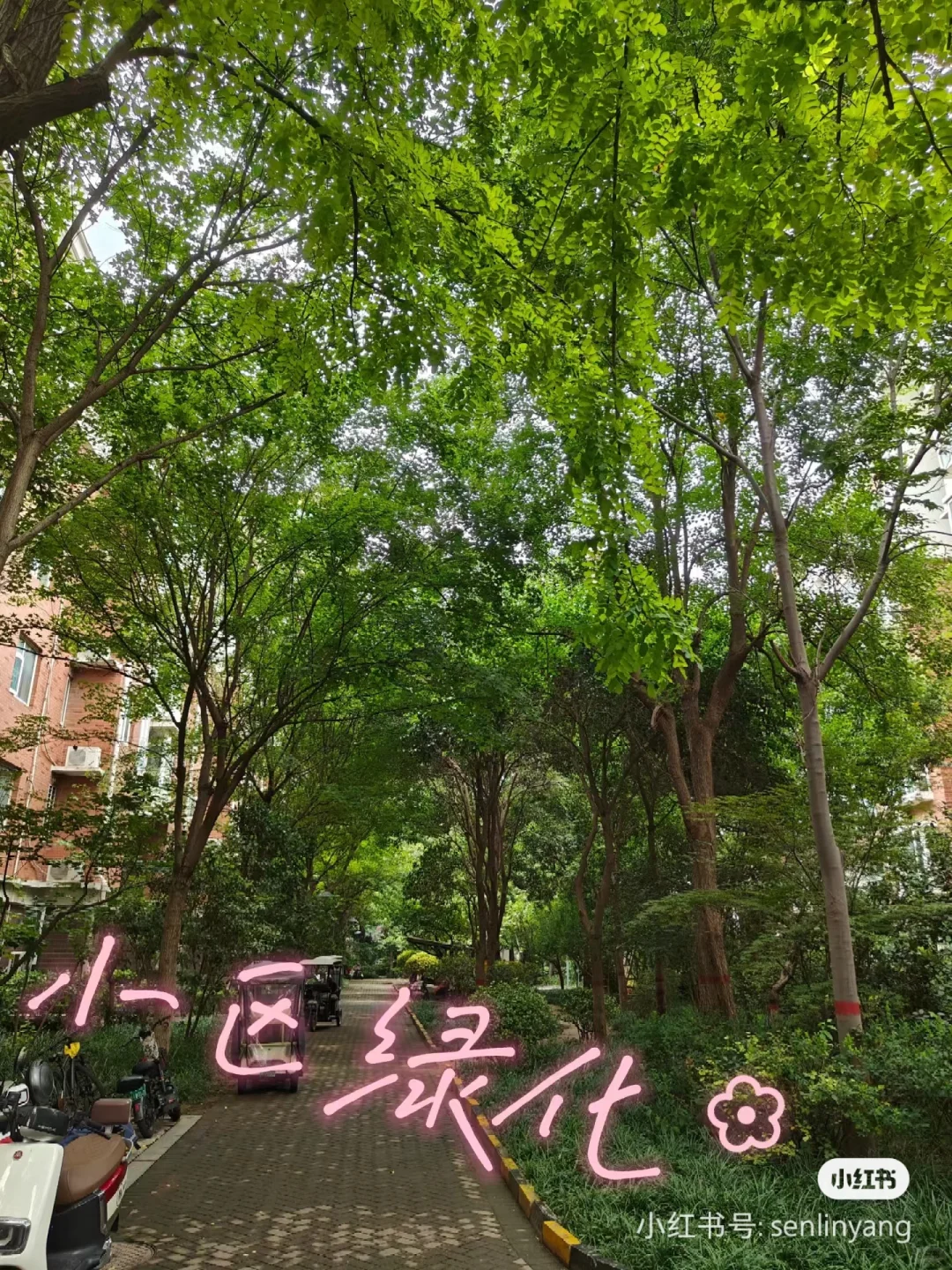 新房装修接近尾声，中原区现住房子出售