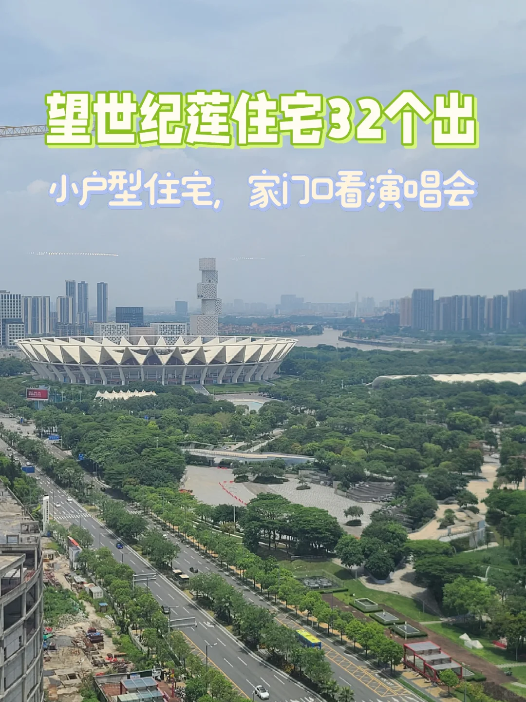 世纪莲，32卖了