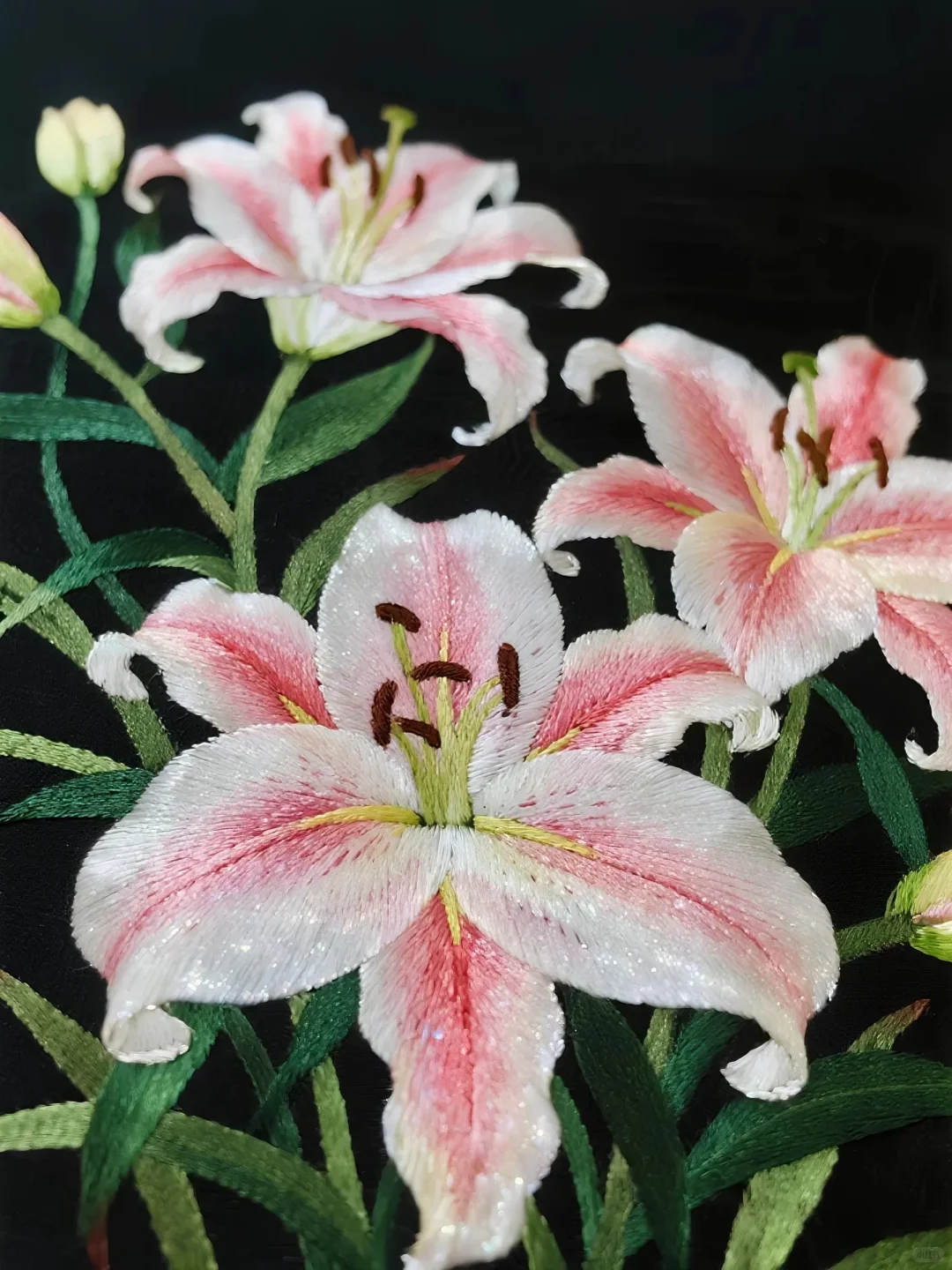粉瓣含露，娇艳欲滴✨