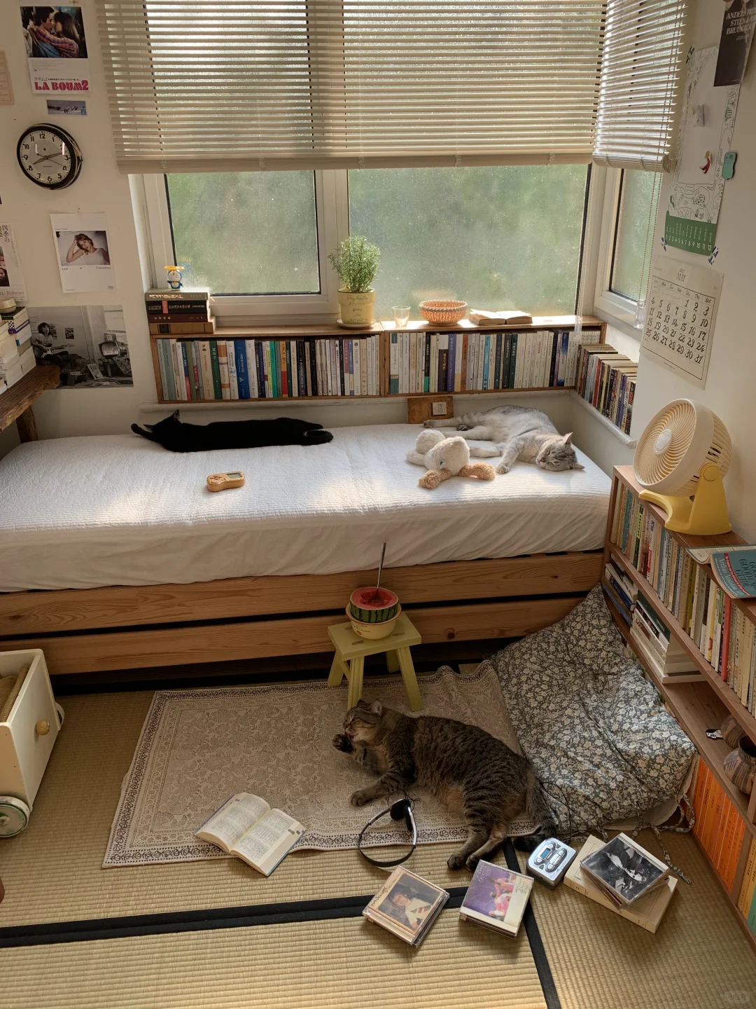 我租的vs我住的