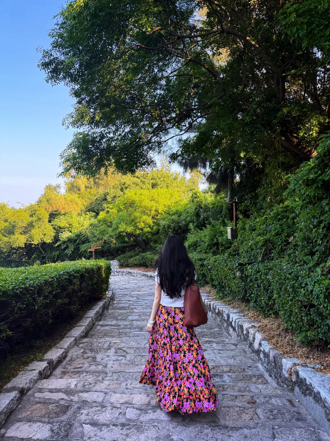 万人血书求的的花裙子💐