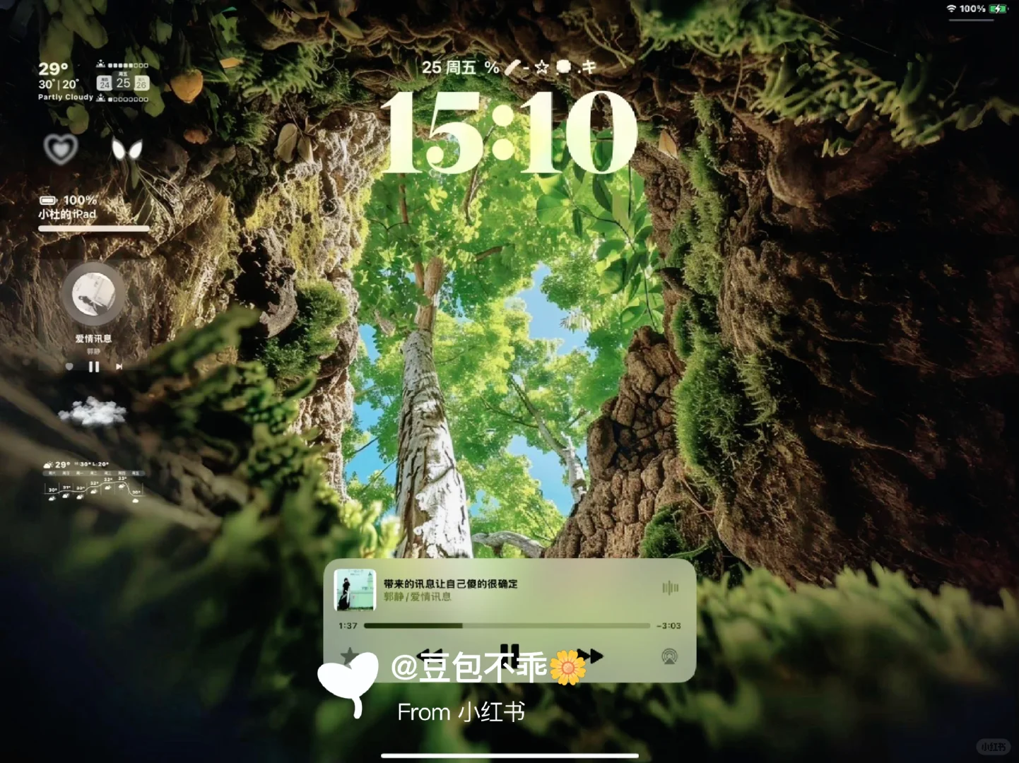  𝐒𝐡𝐚𝐫𝐞|生命力平板壁纸🌷